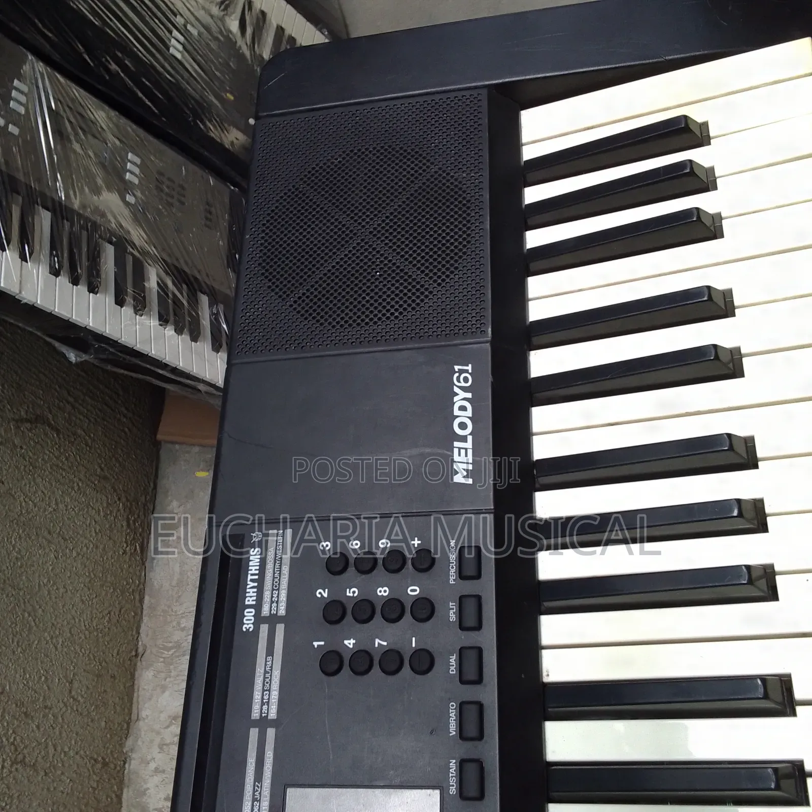 Alesis Melody 61 Keyboard – 61-Key Digital Piano