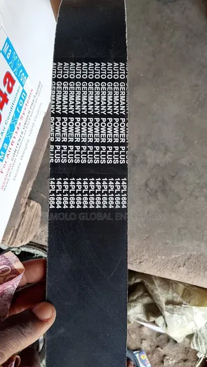 14pl1664 Ribbed Belt