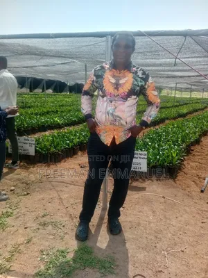 Palmcity Agro Real Estate