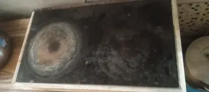 Electric Cooker