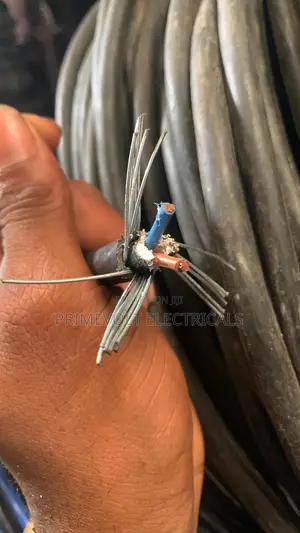 2.5mm 2core Armoured Cable