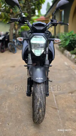 Suzuki Gixxer 250 2024 Gray