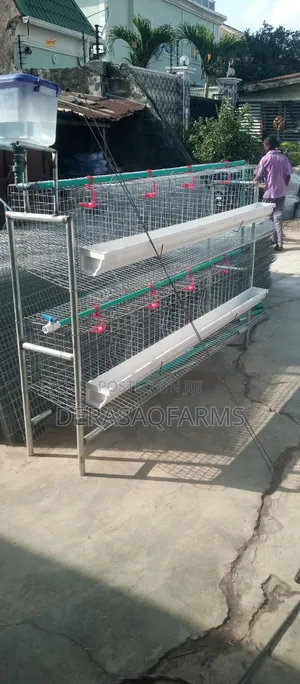 Backyard Poultry Cage