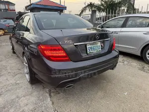 Mercedes-Benz C-Class C 300 4MATIC (W205) 2014 Gray