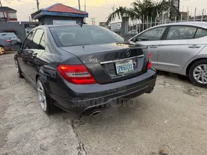 Mercedes-Benz C-Class C 300 4MATIC (W205) 2014 Gray