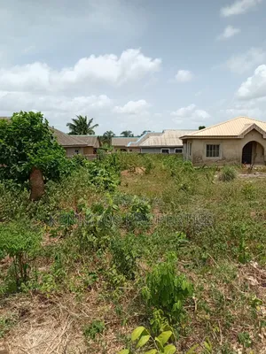 Fenced Half Plot of Land in Igbogbo Ikorodu for Sale