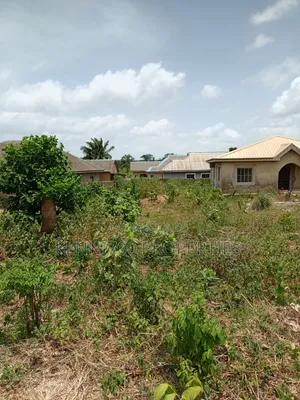 Fenced Half Plot of Land in Igbogbo Ikorodu for Sale