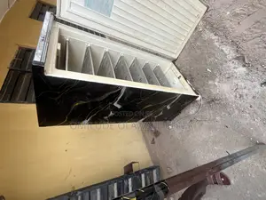 Standing Freezer for Sale