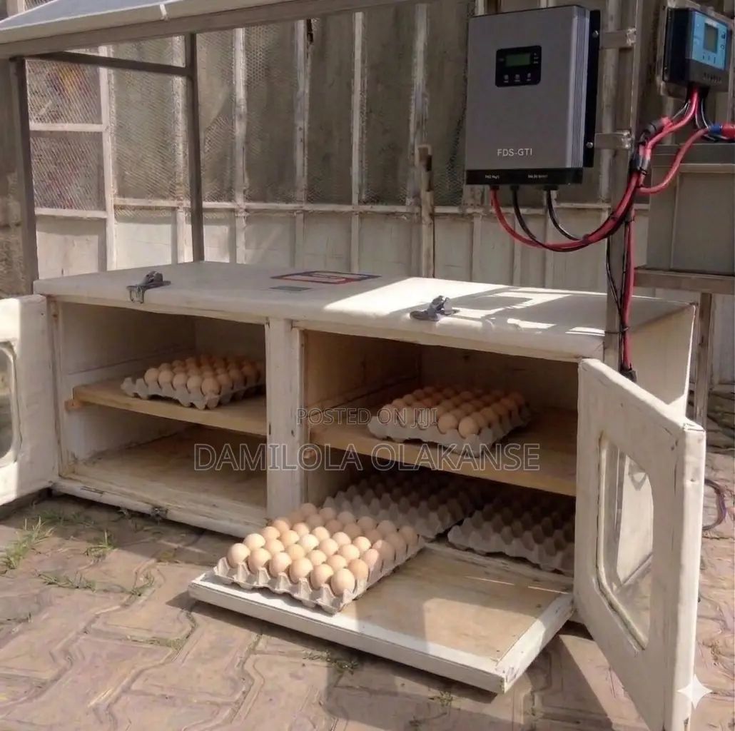Solar Powered Egg Incubator
