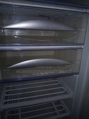 Standing Freezer