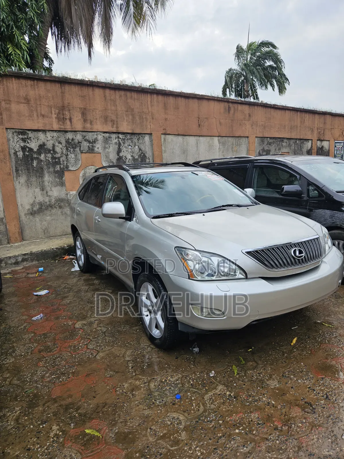 Lexus RX 330 2006 Gray