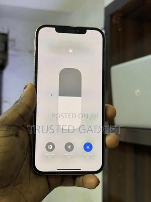 Apple iPhone 12 Pro Max 256 GB Gold