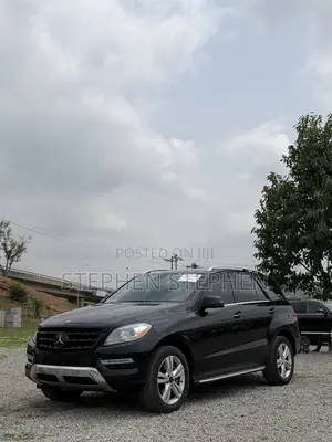 Mercedes-Benz M Class 2015 Black