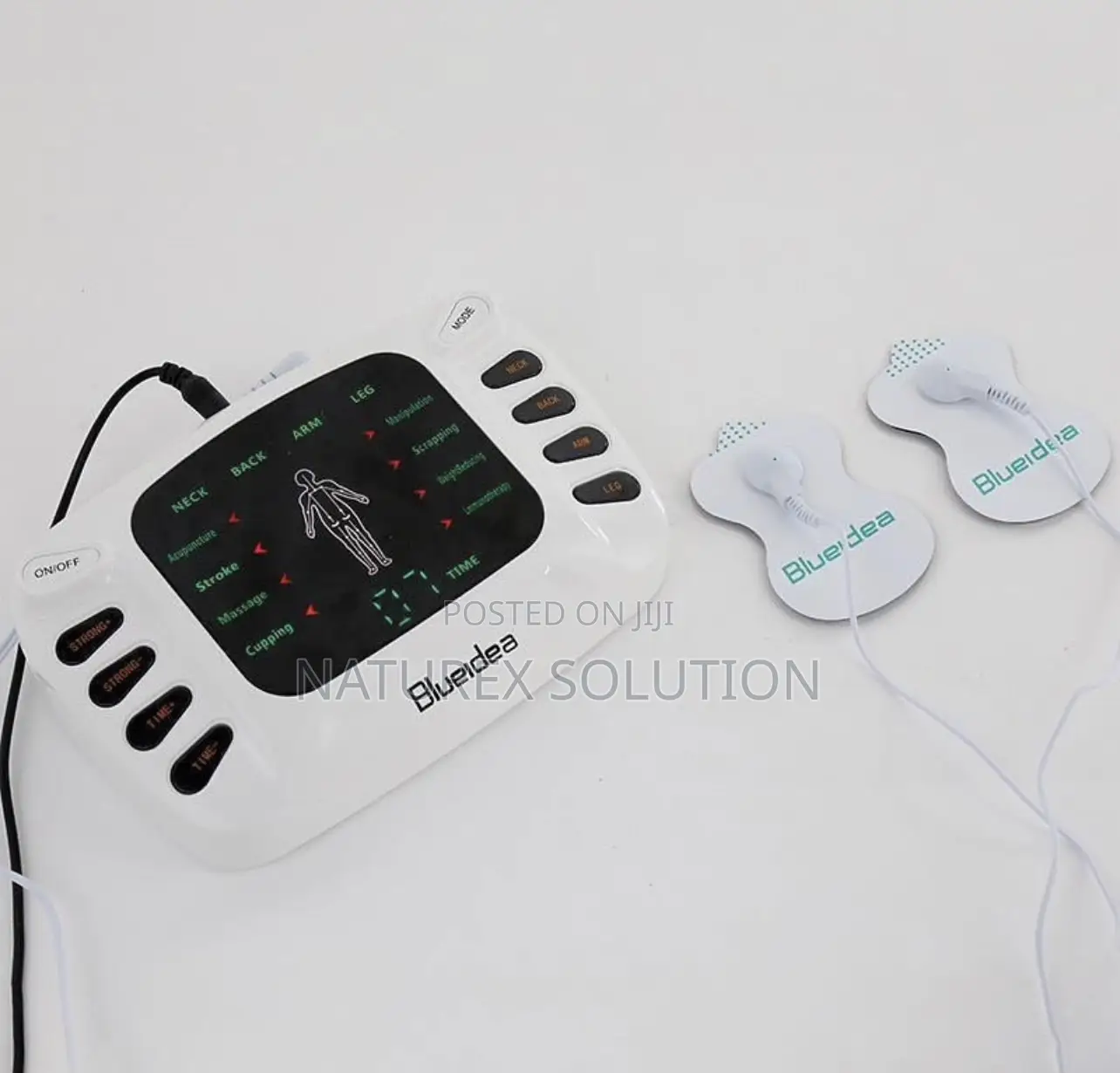 Electronic Pulse Massager