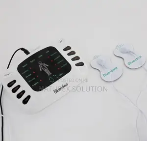 Electronic Pulse Massager