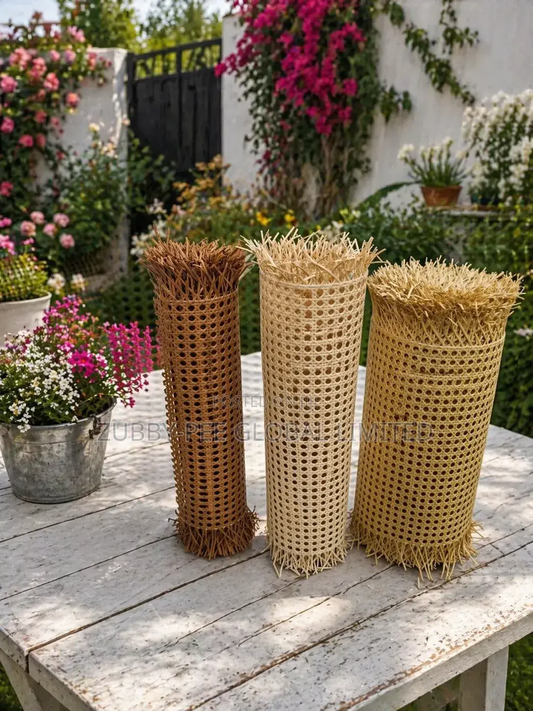 Rattan Cane Web