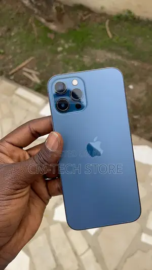 Apple iPhone 12 Pro Max 256 GB Blue