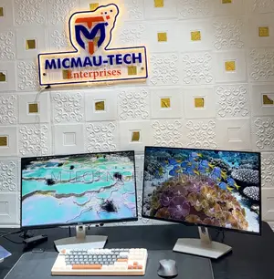24” Glossy Dell Ips Frameless Monitor
