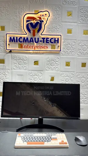 29” Ultrawide Lg Frameless Ips Mono