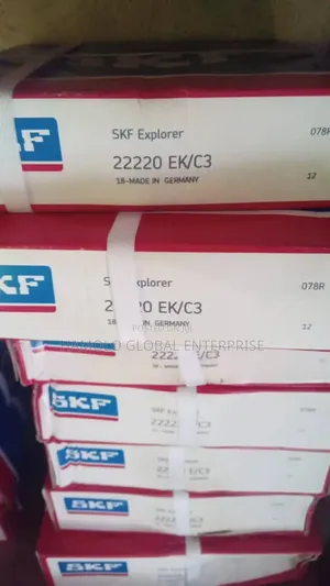 Roller Bearing 22220 Ek/C3