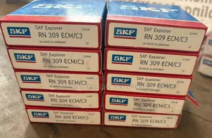 Cynlindrical Roller Bearing Rn 309 Ecm/C3
