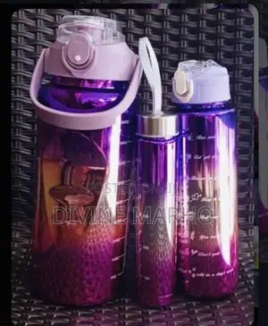 3in1 Motivational Water Bottles