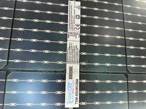 Trina Bificial Panels 650w