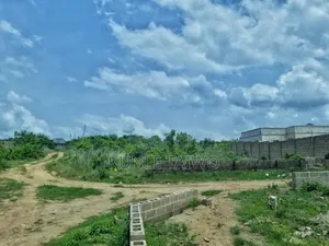 Two and Half Plot of Land
