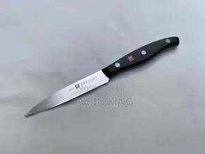 Zwilling Twin Pollux 4 Inches Pairing Knife