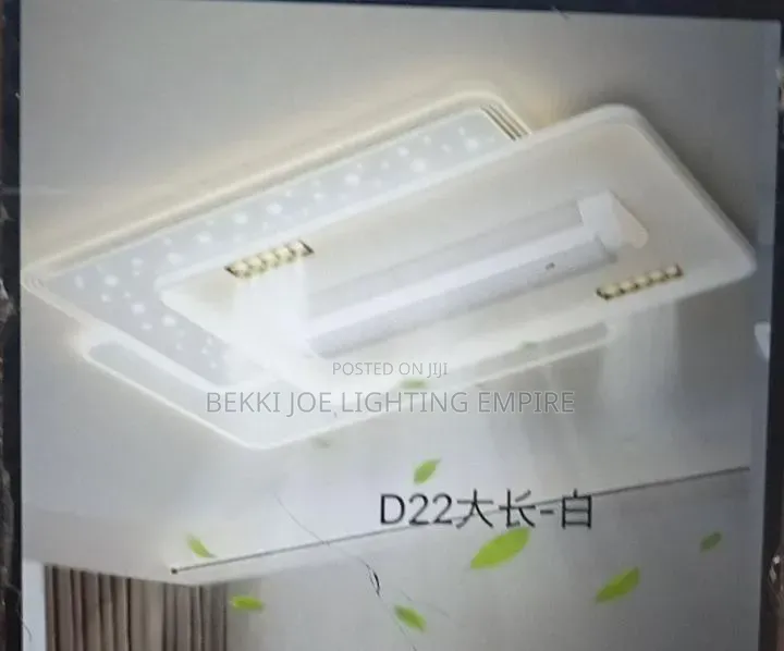 Modern Ceiling Fitting With Light and Fan