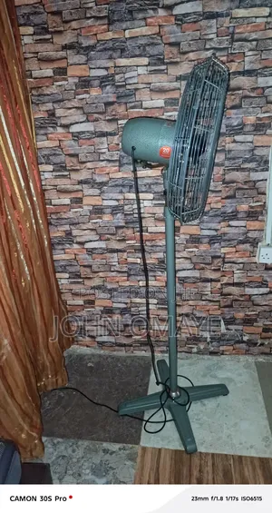 Standing Fan
