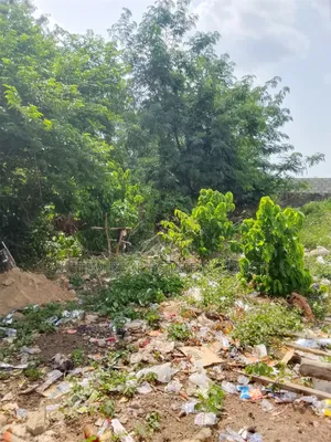 2 Plots Land for Sale at Trailer Park Araro Apete,Ib.Facing Tarred Rd