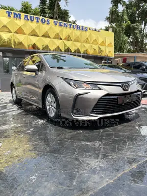 Toyota Corolla 2020 Gray