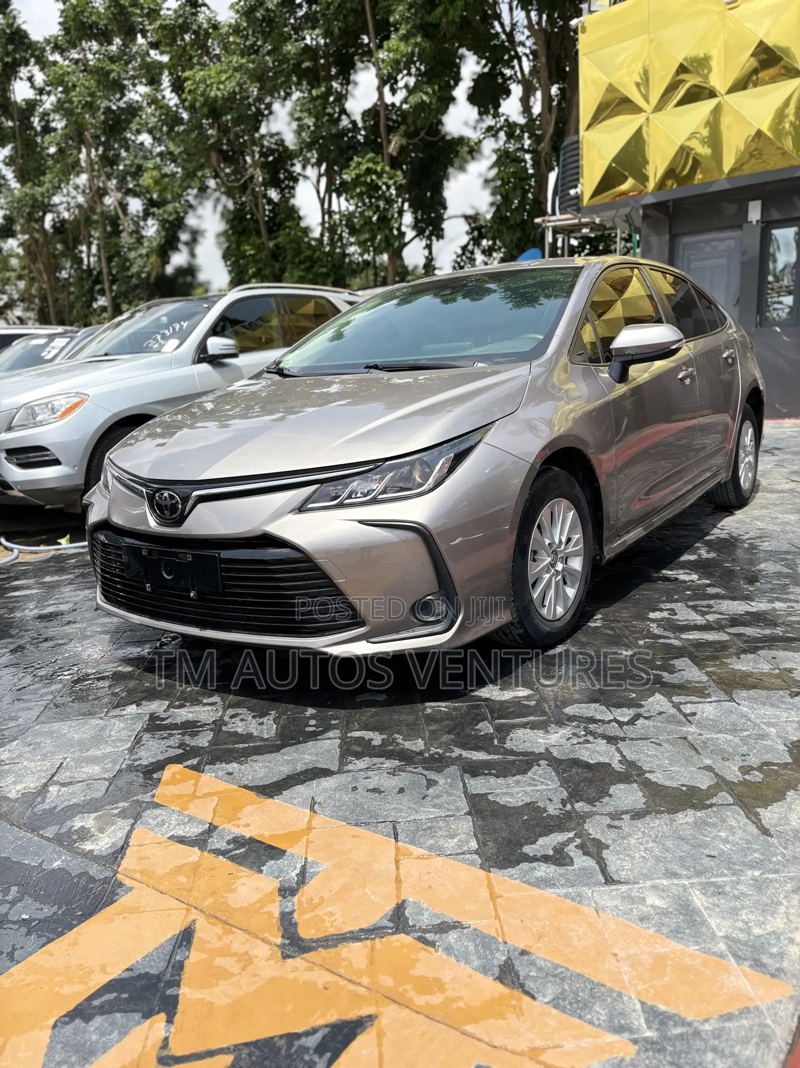 Toyota Corolla 2020 Gray