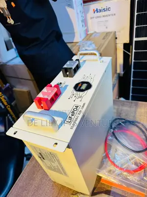 Luxwatt Lithium Ion Battery 2.56kwh/24v