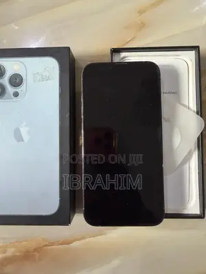 Apple iPhone 13 Pro 256 GB Gray