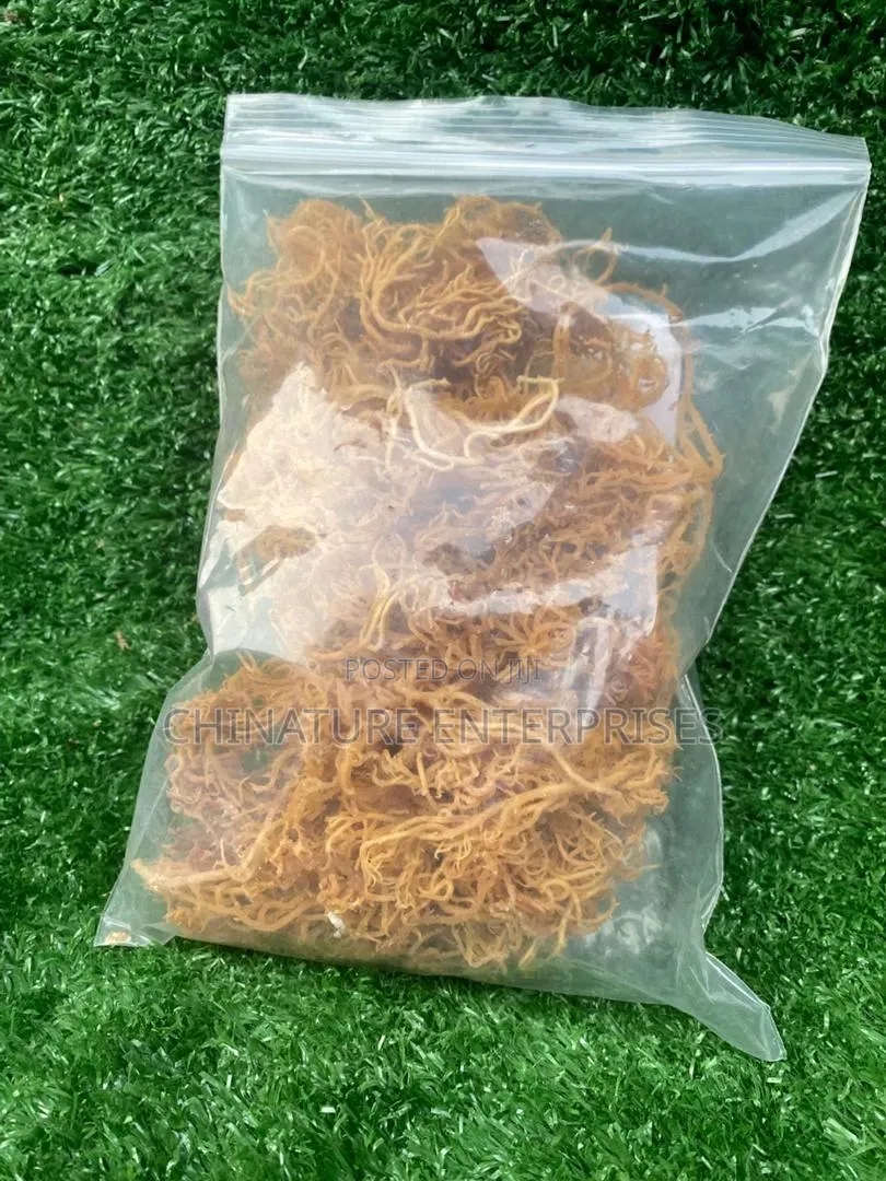 Wild Crafted Sea Moss 100g