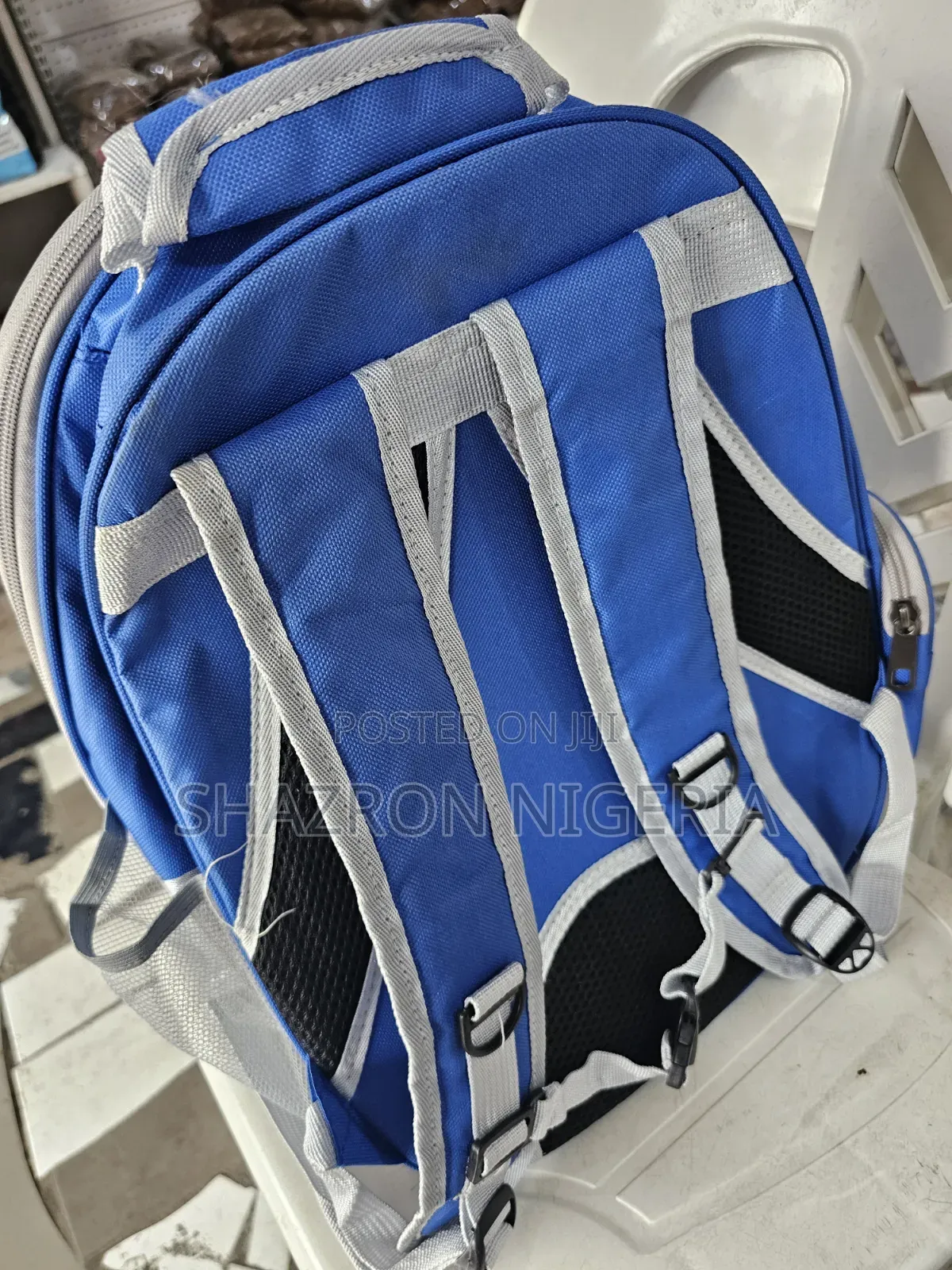 Transparent Pet Backpack