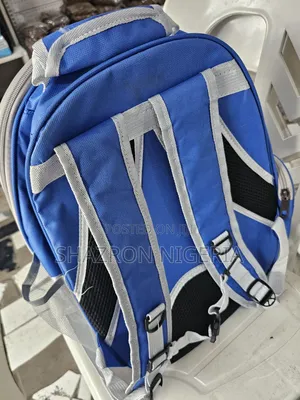 Transparent Pet Backpack