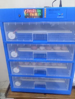 Chicken Egg Incubator 56 to 500 Capacity