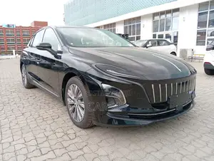 Hongqi E-HS9 2023 Black