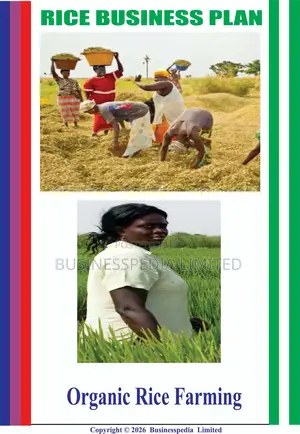 Rice Business Plans