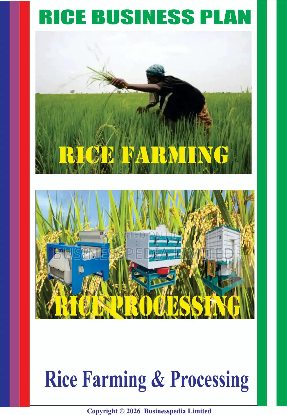 Rice Business Plans