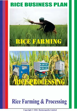 Rice Business Plans