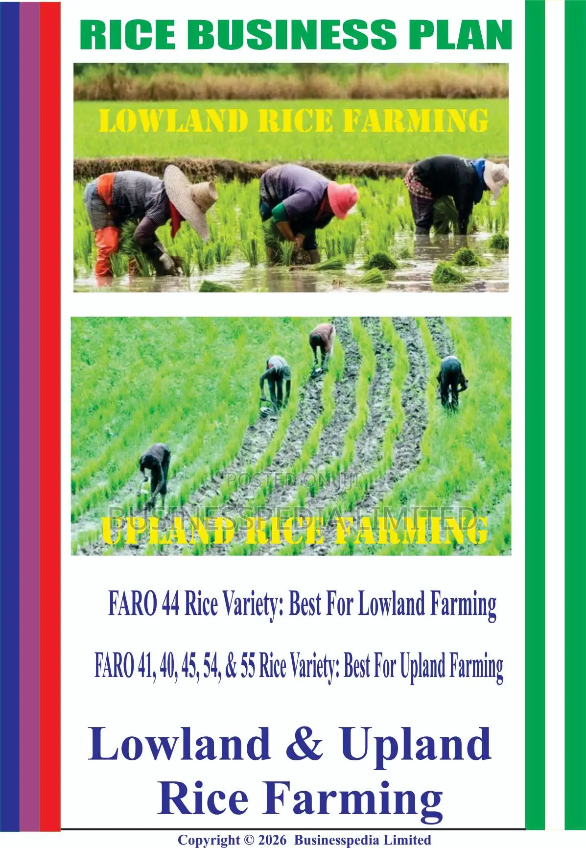 Rice Business Plans