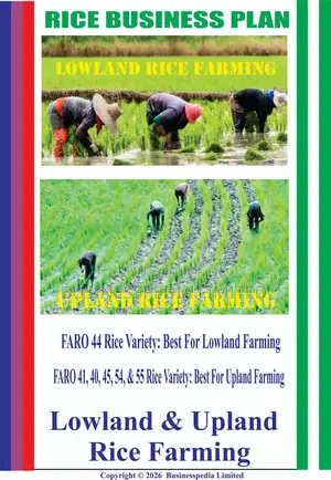 Rice Business Plans