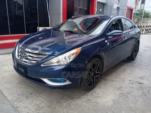 Hyundai Sonata 2011 Blue