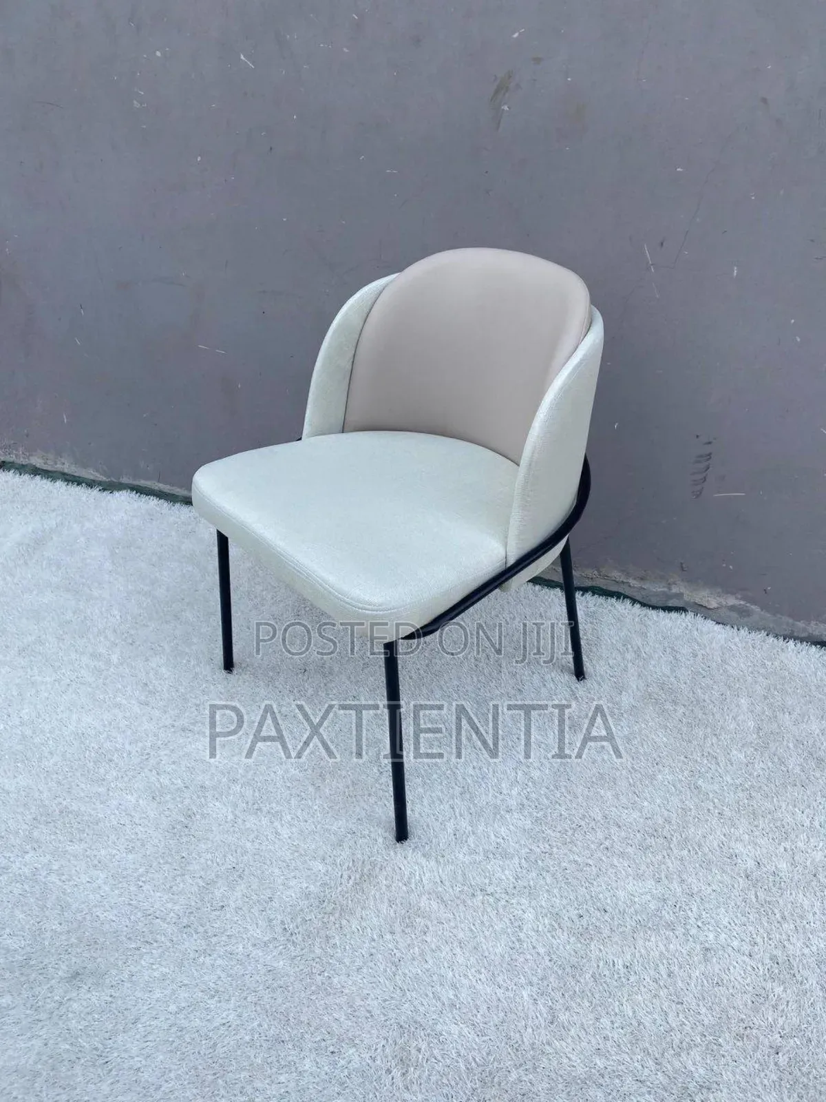 Classic Dining Chair With Iron Legs