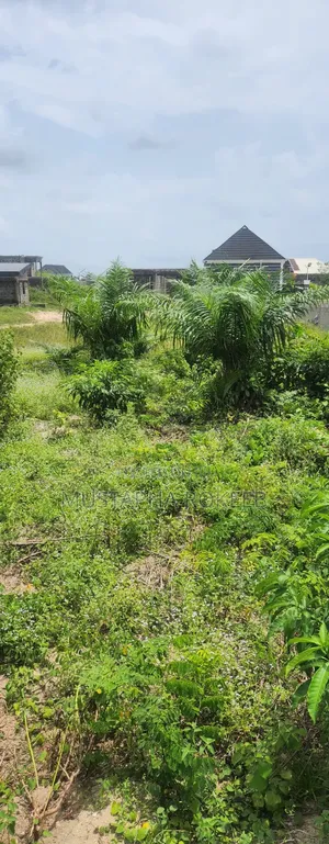Half Plot of Land