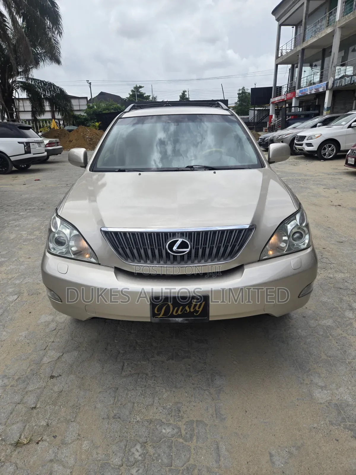 Lexus RX 330 2006 Gold